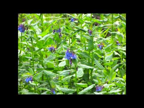 2011 07 31 CorralCreek MirrorLakeTrip