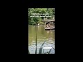 Tourists Backwards Row Boats in Central Park