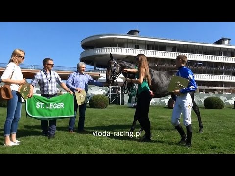 Gon. II (N. St. Leger) - 28.08.2016 - Dusigrosz (Full of Gold - Deana)