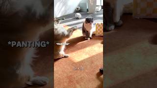 When It's That Time Of The Month 👀