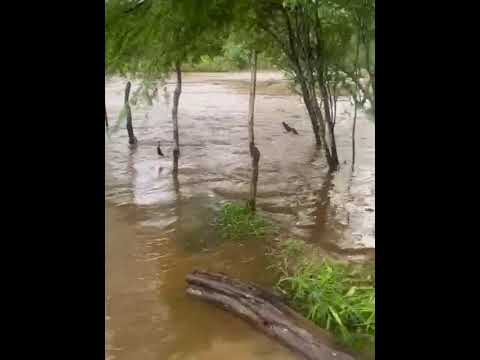 2° cheia do Rio traíra RN lagoa salgada