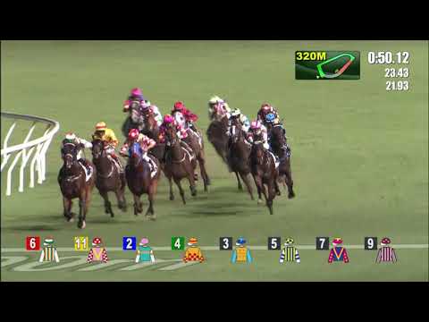 14/7/2021 (829) Happily Friends - Vincent Ho