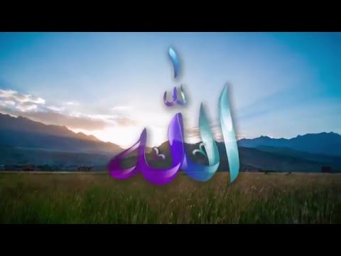 The Journey of Soul Bangla Version Md. Rafiqul Islam