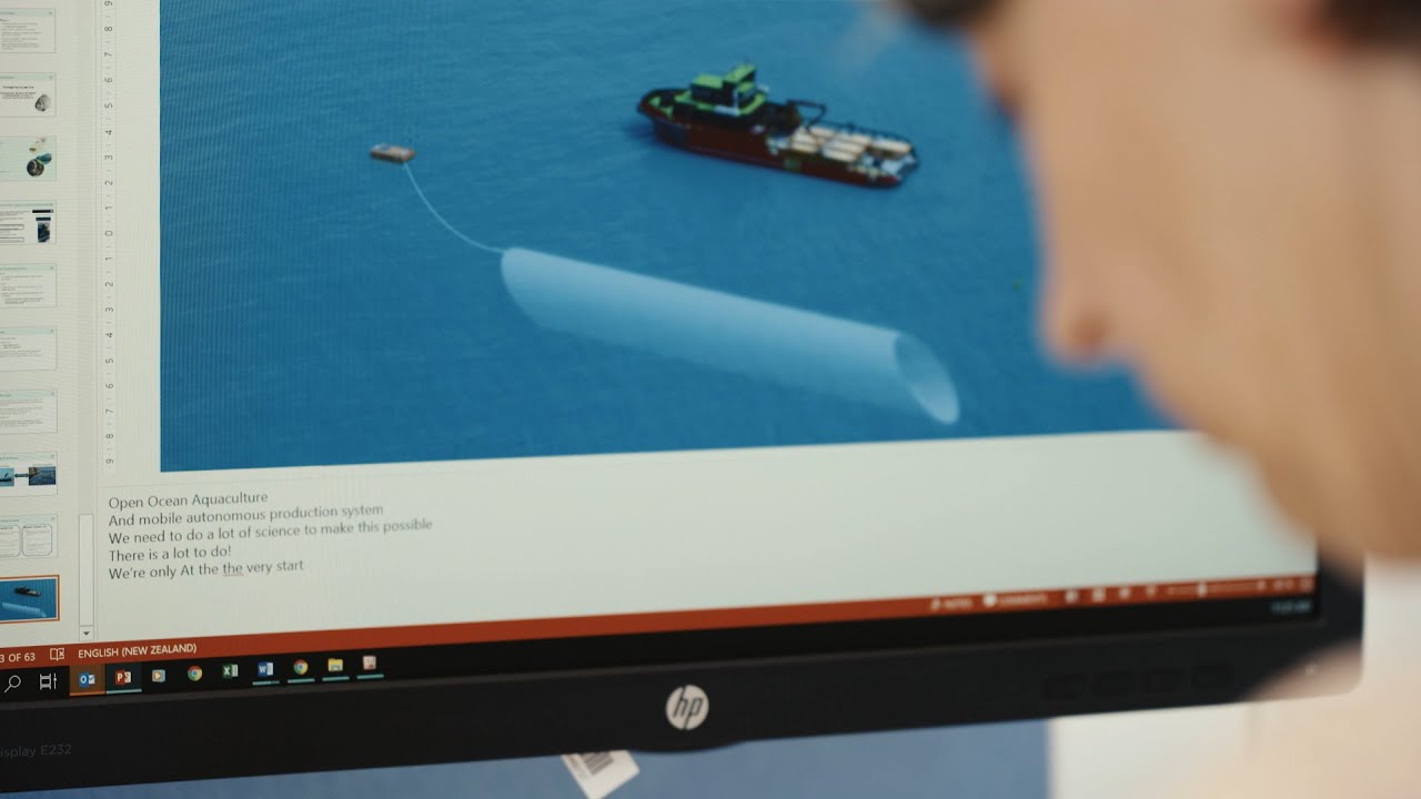 Sustainable aquaculture in the open ocean