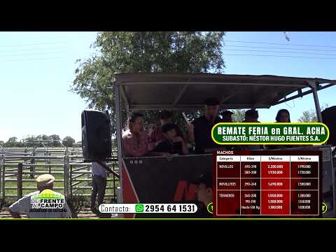 REMATE de NÉSTOR HUGO FUENTES S.A. - MIÉRCOLES 25 / FEBRERO / 2026 - GENERAL ACHA -L.P.-