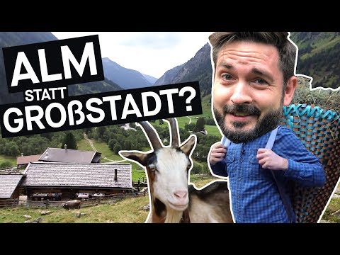 Selbstversuch: Alm statt Großstadt – wie ist das wirklich? || PULS Reportage