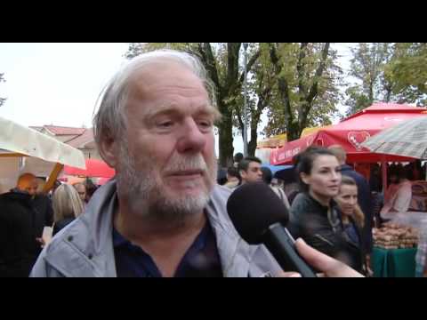 IKB Ča skalica - Tamara Brusić