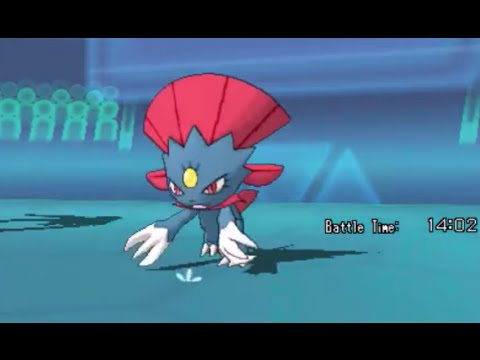 VGC 2016 Road to Ranked #39 - Ditto & Weavile!