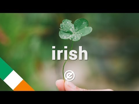 'Fiddle De Dee' by SilvermanSound 🇬🇧 | Traditional 🇮🇪 Irish Music (No Copyright)