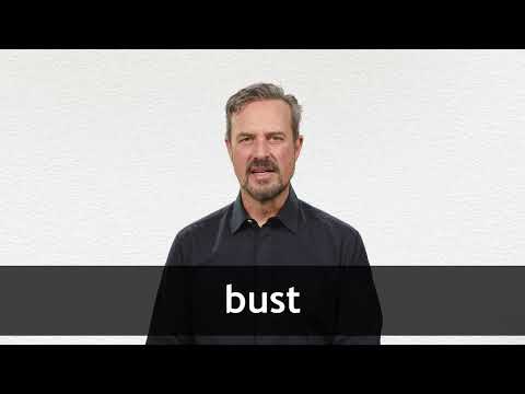 bust up meaning and pronunciation 