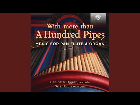 Geamparalele Ca La Nunta