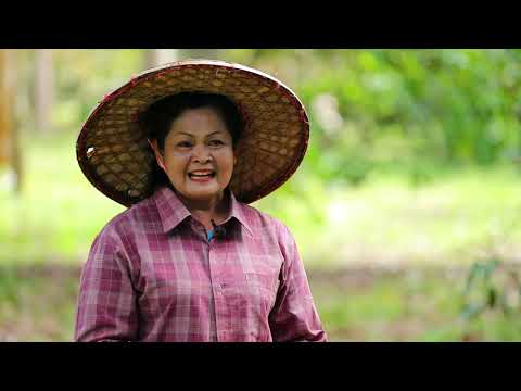 รักษ์ผืนดิน ถิ่น ส.ป.ก. ปี ๓ : (๔) น้ำส้มจี๊ดพร้อมดื่ม ผลิตภัณฑ์ยอดฮิต ต.ช่องไม้แก้ว จ.ชุมพร