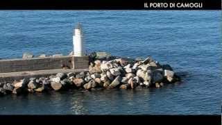 preview picture of video 'Velisti per caso - il porto di Camogli'