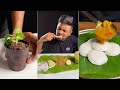 TOP 5 April Collection Of Great Indian Asmr G I A