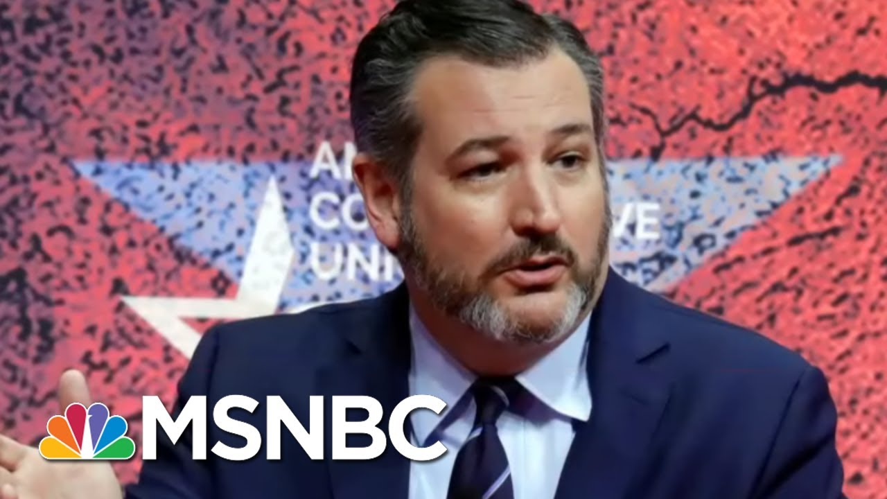 Ted Cruz To Chris Hayes: 'May Space Pirates Devour Your Liver' | All In | MSNBC - YouTube
