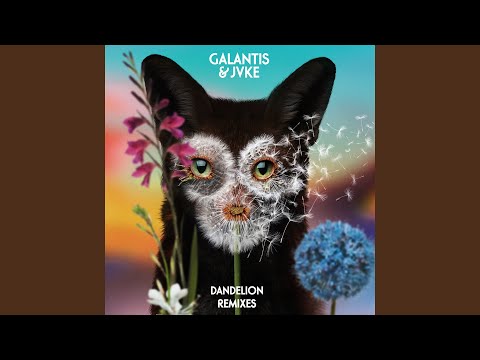 Dandelion (Pandapush Remix)