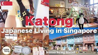 【カトン雑貨屋めぐりVlog】Cat Socrates🐱Crane Living☁️でお買い物｜癒しの街歩きとプラナカン建築｜Singapore Vlog