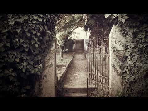 Dubravka Nešović   Viju vetri