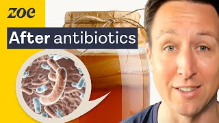 Antibiotics: The surprising truth about probiotics and what to do instead