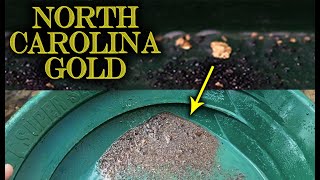 Chunky North Carolina Gold Found on Bedrock in the Uwharrie National Forest