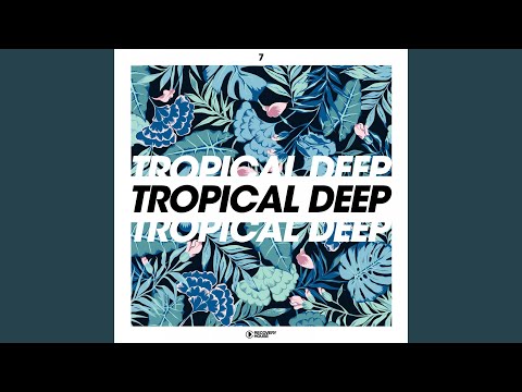 We Used To Have It All (feat. Jess Hayes) (Radio Mix)