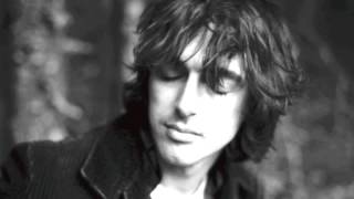 Stephen Duffy and the Lilac Time - The Silence