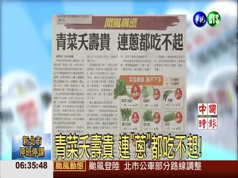 青菜夭壽貴 連"蔥"都吃不起!