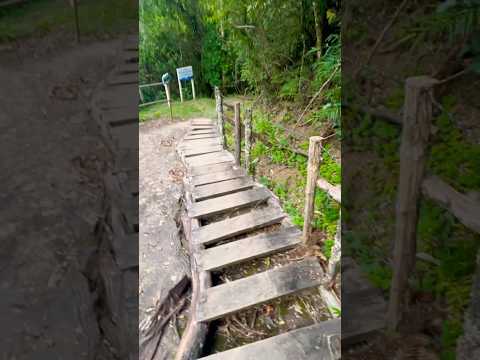 5 cachoeiras no Instituto Alto Montana | Itamonte MG | Serra Fina