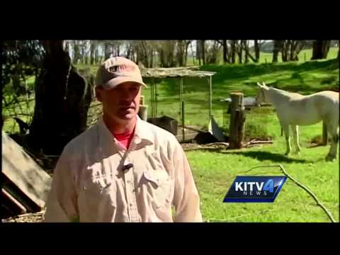 Where You Live: Waimea