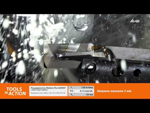 ToolsInAction: инструмент GARANT в действии