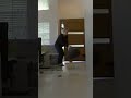 ⚠️Cat Attacks Her Owner! #catattack #cats #aggressivecat #siamese #animals #cat #shorts #pets #cat