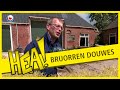 HEA! De verschillen tussen de Bruorren Douwes