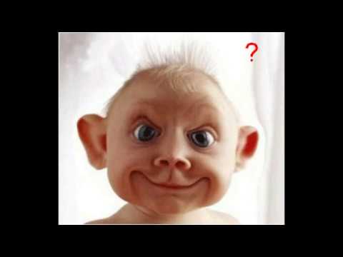 Erich Mielke - Punks, Skinheads & Heavy Metaller