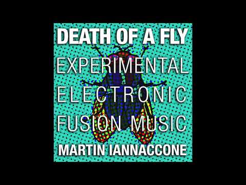 04 Banshee - Death of a Fly - Experimental Electronic Fusion Music