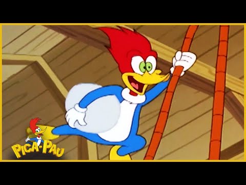 Capa de Pica-Pau em Português | Átilla, a Galinha | Compilação De 1 Hora | Desenhos Animados