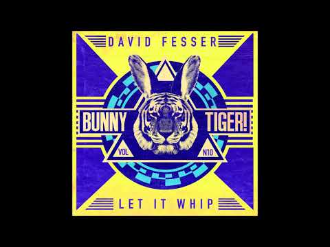 PREMIERE: David Fesser - Let It Whip (Original Mix) [Bunny Tiger]