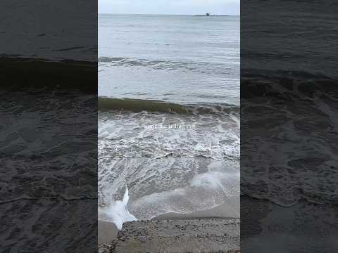 love the sea #minivlog #digitaldiary #travel #videography #shortsfeed #shorts #beach #thebeach #sea