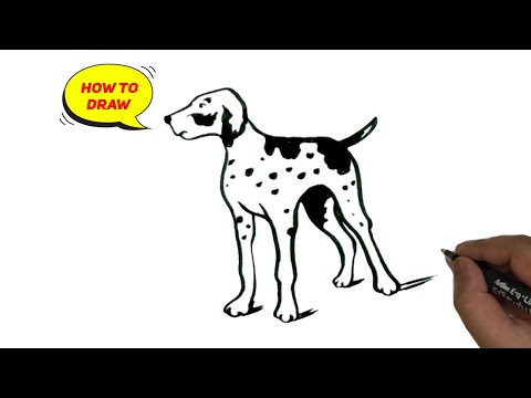 How to draw German Shorthaired Pointer dog easy and step by step.