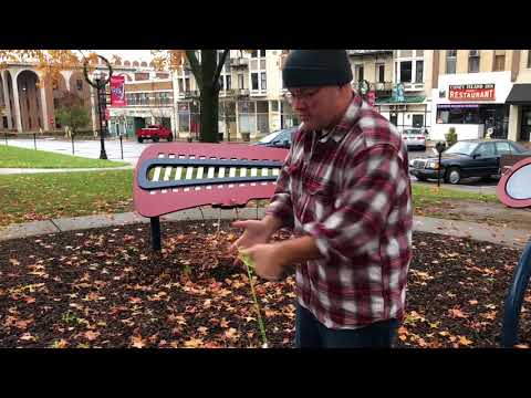 Rain City Skills Presents: TillTheSunComesUp