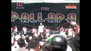 Download lagu new palapa   dia lelaki aku lelaki live UNESA   YouTube mp3