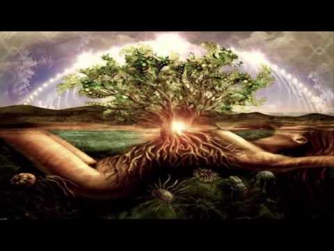 VUCKO - DJ Set@Club Plastic - TranscenDence Party 2017 [Psychedelic Trance]