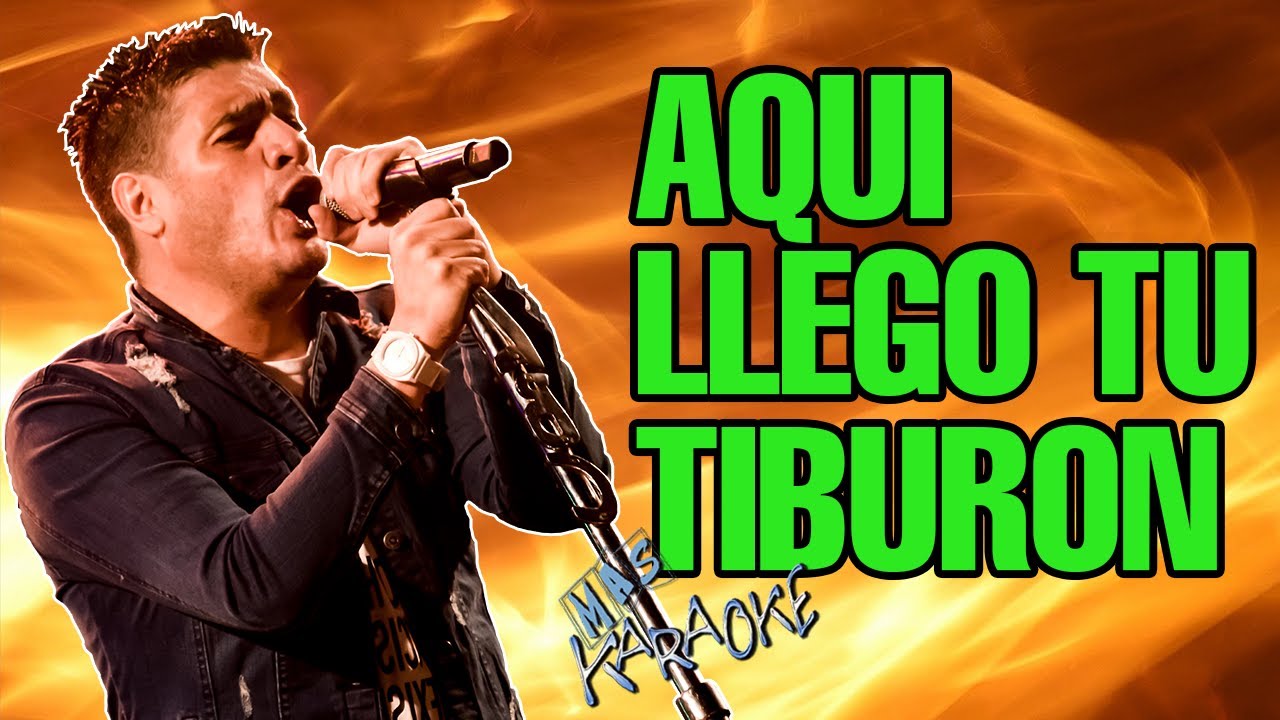AQUI LLEGO TU TIBURON