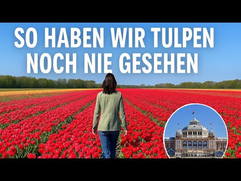 1000km für die schönsten Tulpen #keukenhof #holland