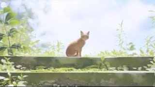 猫好きがStrayを初見プレイ！_Lastpart
