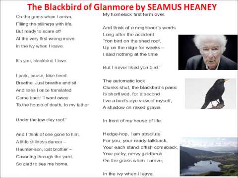 Analysis Of Seamus Heaney'S Poem 'The Blackbird Of Glanmore'. – Reviews  Rants And Rambles