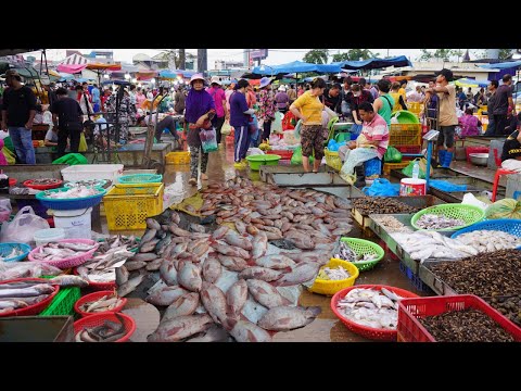 Chbar Ampov Morning Fish Market Tours - Plenty Fresh Fish, Dry Fish, Seafood & More In Fish Market