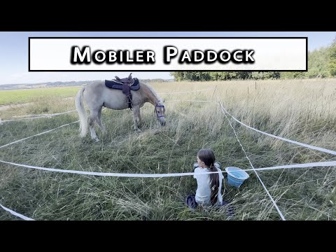 Paddock fürs Wanderreiten & Stativ zum filmen