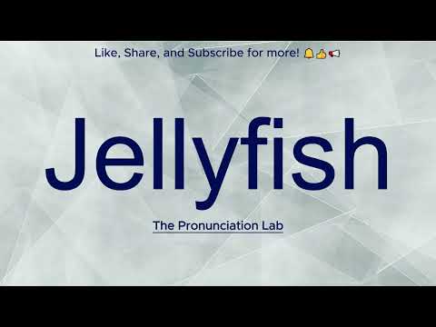 Jellyfish Pronunciation: How to Pronounce Jellyfish— How to Say Jellyfish?