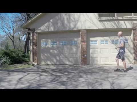 Bindi - early days in training | Rat Terrier | Flower Mound Dog Training | Redeeming Dogs