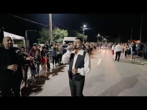 Marian Medregoniu - Nunta Adi si Oana  Hora mareee